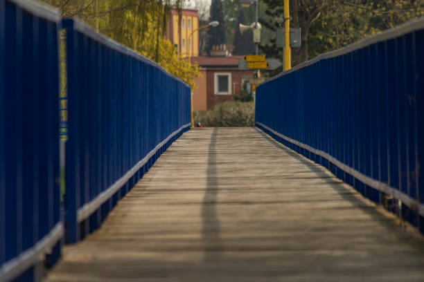 Morava river near Otrokovice town in spring fresh morning with bridge