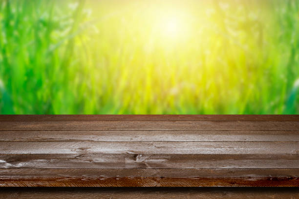 Empty wood plank table top with blur park green nature background bokeh light, Mock up for display or montage of product,Banner or header for advertise on social media and Spring and Summer concept