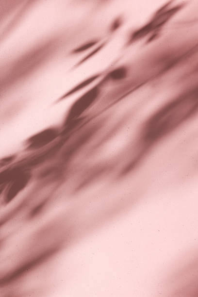 istock pink texture background with light and shadow from tree, suitable for product presentation, backdrop, display and mock up. space for text 1397957631