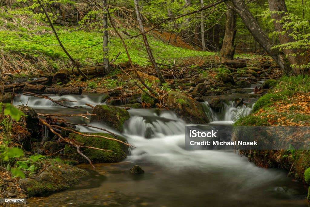 Pommerbach creek in spring cloudy evening near Buchenau village Pommerbach creek in spring cloudy fresh evening near Buchenau village Bavarian Forest Stock Photo