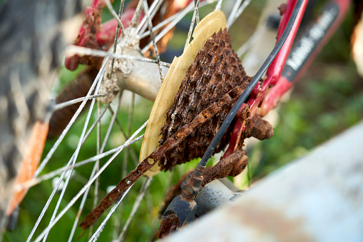 Primer plano de una vieja bicicleta oxidada. La cadena se destruye en los engranajes. MTB De dos ruedas es un hallazgo marítimo (Seefunde). photo