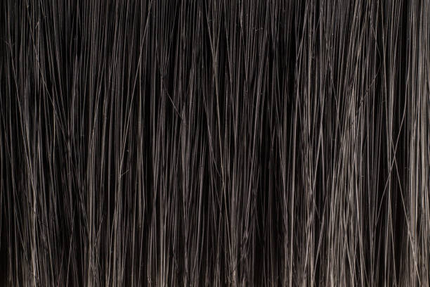 istock Texture of dark bristle brush close up as background 1397959781
