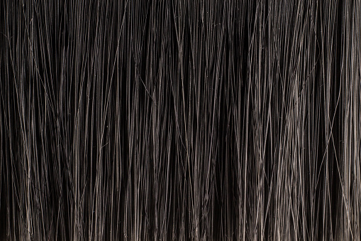 Texture of dark bristle brush close up as background