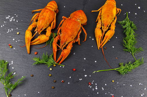 Red boiled crayfish with dill and spices on black slate background. Top view