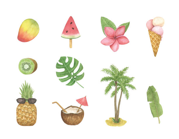 ilustrações de stock, clip art, desenhos animados e ícones de summer watercolor set with food and leaves. clip art with watermelon, ice cream, pineapple, mango, kiwi and coconut, palm, flower. - food and drink fruit cartoon illustration and painting