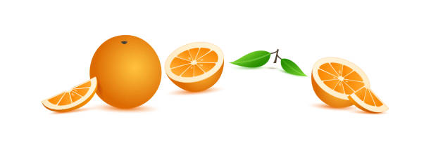 illustrations, cliparts, dessins animés et icônes de icône vectorielle orange, agrumes et feuille 3d isolés sur fond blanc. nature - grapefruit citrus fruit water fruit