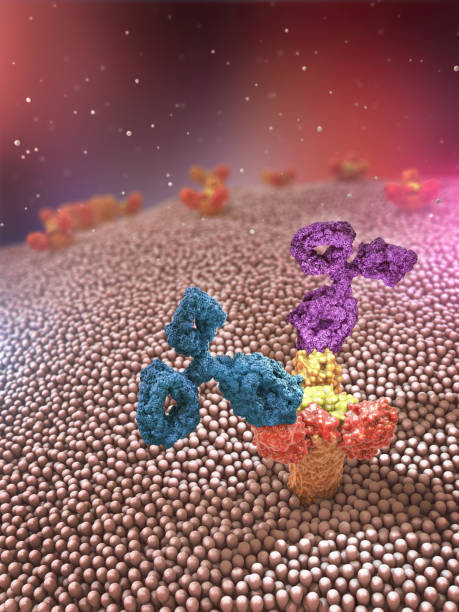 istock Multicolored antibodies or immunoglobulin protein structures attached to receptor- 3d illustration 1397970839