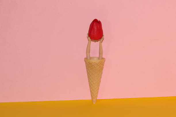 istock an ice cream cone with two hands holding a red flower head above the cone opening, a creative summer concept for a yellow-pink background 1397973474