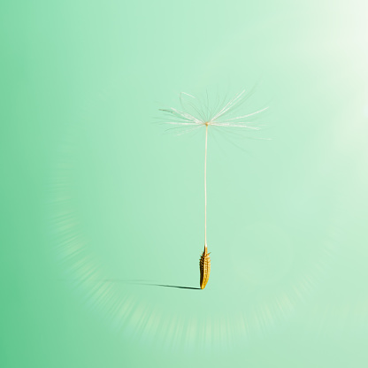 Flying dandelion seed on green background with a soft shadow