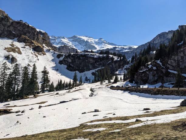 ski tour to the klausen pass in the canton of uri. Winter on the summit and spring in the valley below. ski tour to the klausen pass in the canton of uri. Winter on the summit and spring in the valley below. switzerland european alps ski winter stock pictures, royalty-free photos & images