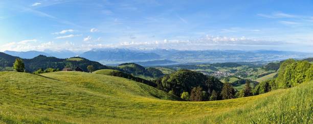 lokalny teren rekreacyjny w zurychu oberland.piękny pagórkowaty krajobraz z dużą ilością dzikości z lasem i łąkami kwiatowymi - switzerland lake beauty in nature nature zdjęcia i obrazy z banku zdjęć