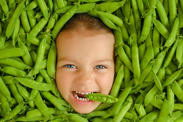 das kind hält eine schote frischer grüner erbsen in den zähnen. das gesicht eines blauäugigen, wütenden, stirnrunzelnden hungrigen mädchens ist von einem haufen kichererbsen umgeben - green pea pea pod sweet food freshness stock-fotos und bilder