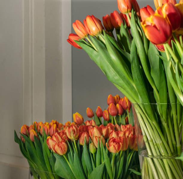 istock Tulip Bouquet, Spring Tulipa Flowers 1397987156