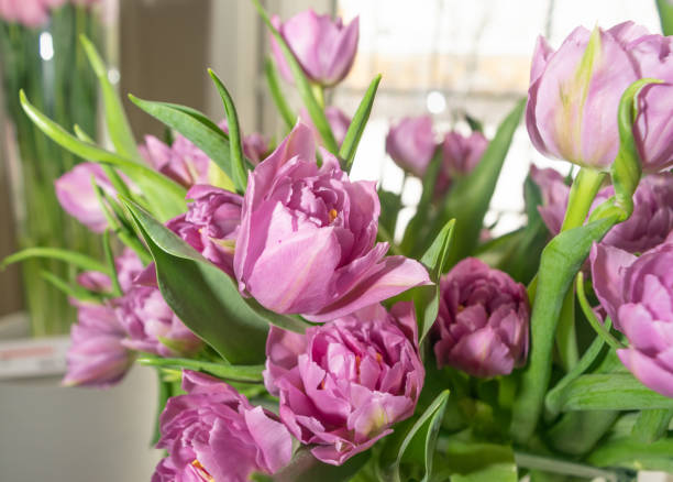 istock Tulip Bouquet, Spring Tulipa Flowers 1397987306