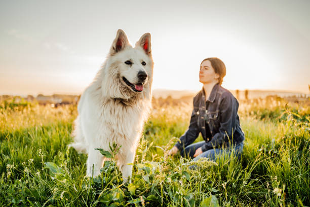 istock Spending a day with a dog in nature 1397987724
