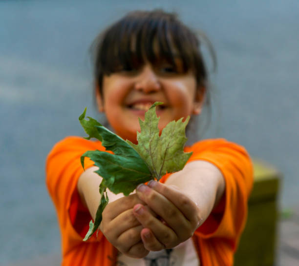 istock Little girl offering a leaf 1397987758