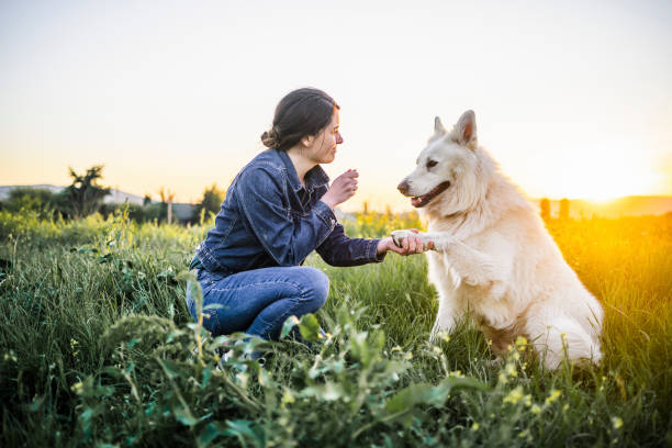 istock I'm happy with my dog 1397987966