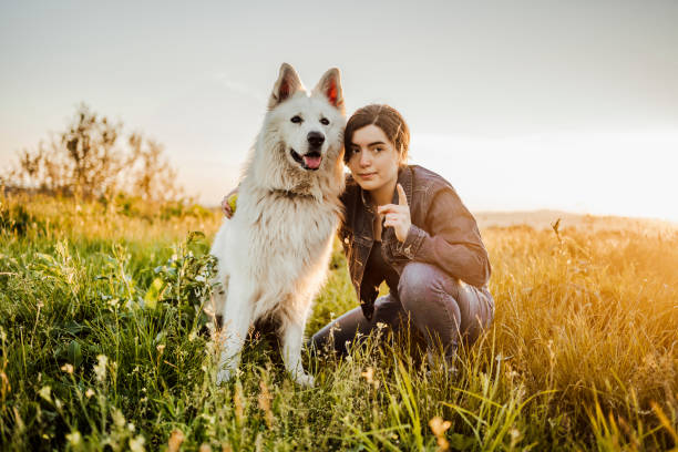 istock Spending a day with a dog in nature 1397988005