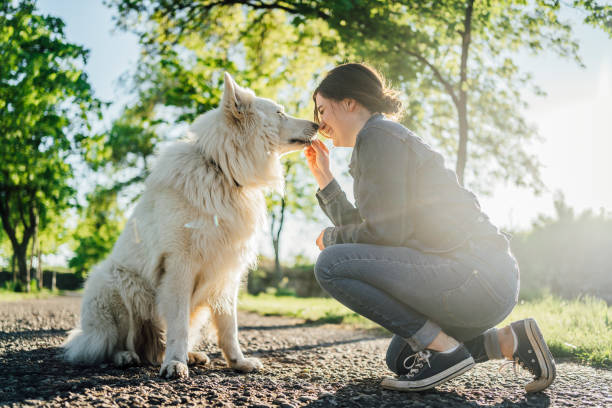 istock Hanging out with a dog 1397988722
