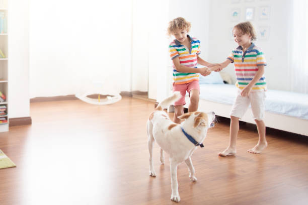 Child playing with dog in white bedroom with big window. Kids play at home. Fun jump on bed. Room and interior design. Boy at home. Sunny morning, weekend family relaxing time.