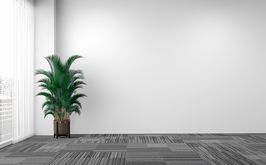 Empty office interior with a conference hardwood table and white leather chairs, potted plant (howea forsteriana) in front of an empty white plaster wall with copy space on gray carpet floor and windows with curtains in background. 3D rendered image.