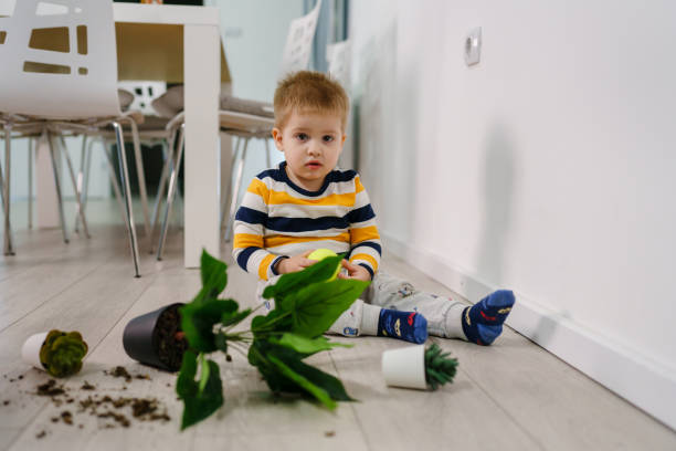 один кавказский мальчик устраивает беспорядок в доме играя и озорствуя с плохим поведением цветочный горшок поврежден на полу непослушный - repercussions стоковые фото и изображения