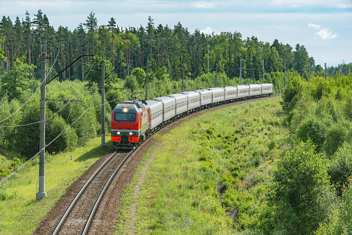 Passenger train moves in the summer forest.