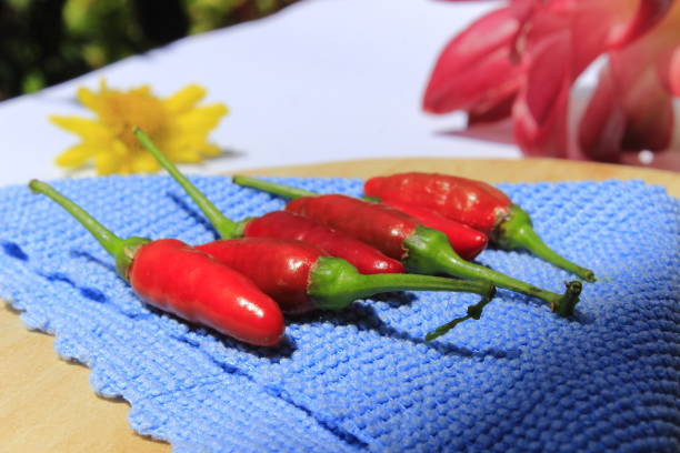 Red chili peppers lined on a wooden cutting board and blue cloth