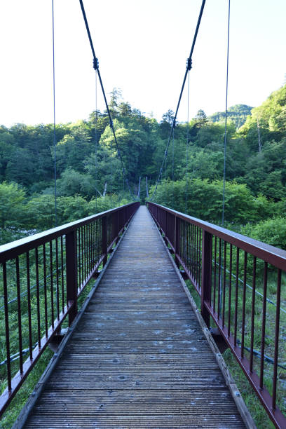 istock trekking around green hills and river in summer 1398014163