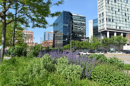 Manhattan, New York, USA - May 15, 2022 - View of nearby buildings and a street from the Hudson River Park.