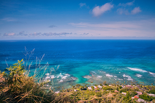 View of the sea at Hawaii