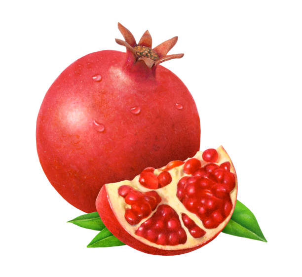 Pomegranate whole and slice vector art illustration