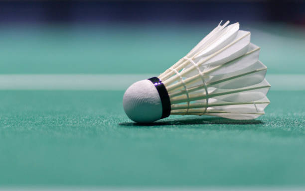 istock Badminton ball on the green court used in competitions 1398029607