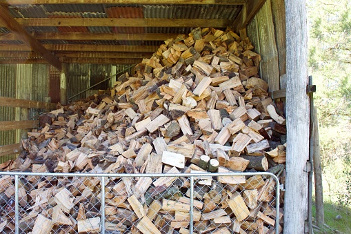 Woodpile of seasoned pine logs stored in a Shed.