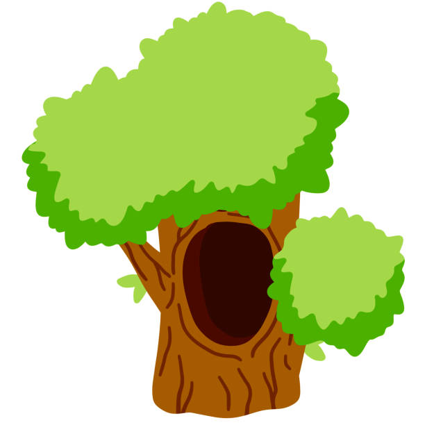drzewo z zagłębieniem. drewno z otworem. brązowa kora rośliny i zielonych liści. gniazdo zwierząt leśnych. - tree hole bark brown stock illustrations