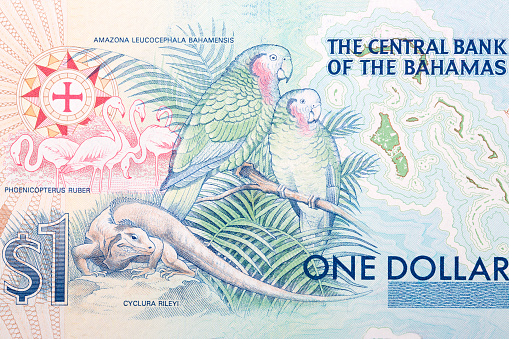 Parrots and lizard from Bahamian money - Dollars