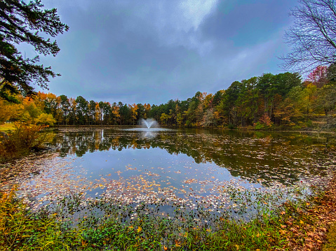 Colorful autumn leaves on trees surround a lake in a Little Rock, Arkansas public park.