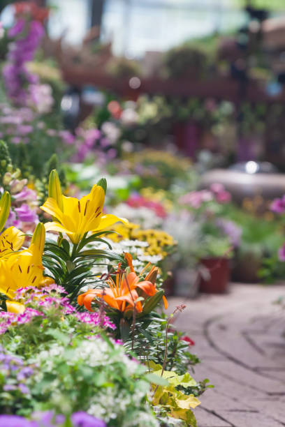 istock Small gardens with blooming flowers and crooked paths 1398043902