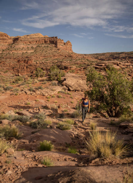 istock Woman hiking in Moab park - Utah 1398043934
