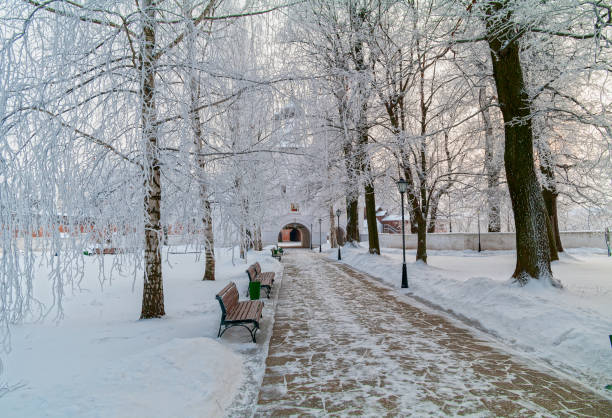 istock Beautiful trees with frosted branches. 1398044694