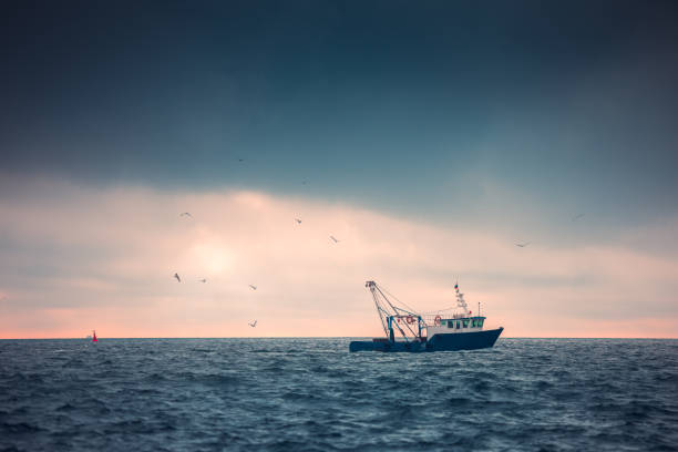 istock Sailing cargo ship and waves at sunrise. Transportation. Logistics. Shipping. 1398048333