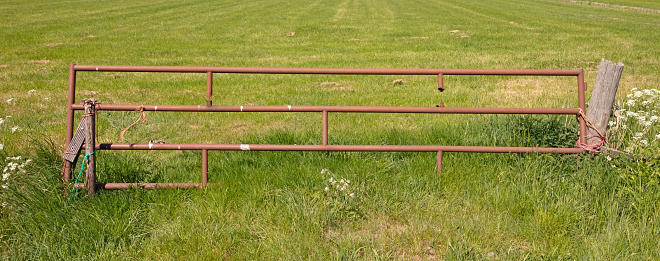 Old rusty fence in a dutch meadow
