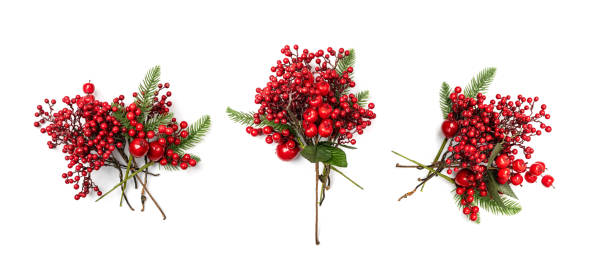 istock Christmas Branch with Red Berries 1398050299