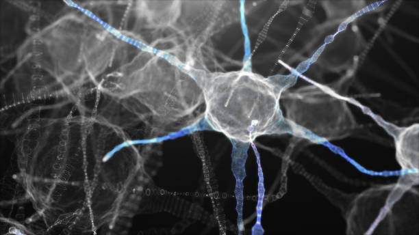 istock Neuronal network of neuron cells. 3D illustration 1398050492