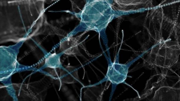 istock Neuronal network of neuron cells. 3D illustration 1398050518
