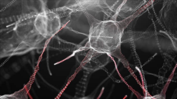 istock Neuronal network of neuron cells. 3D illustration 1398050551