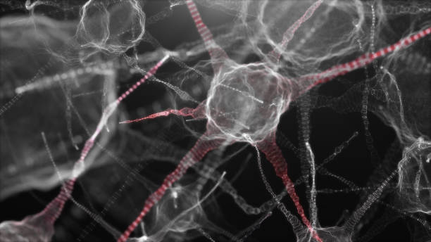 istock Neuronal network of neuron cells. 3D illustration 1398050574