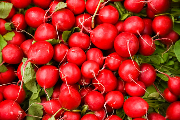 istock Radishes stacked on top of each other, radish texture. Selective focus. 1398052894