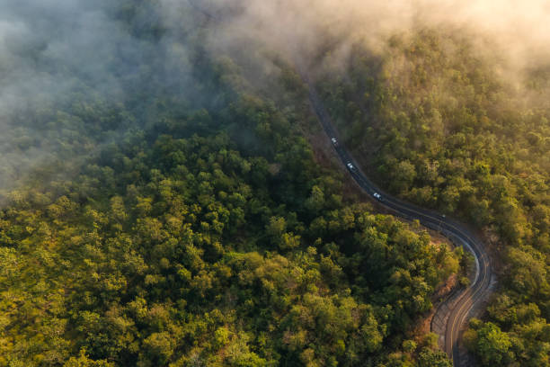 ариал вид на автомобили, едущие по извилистой дороге через зеленый лес с туманом в утреннее время. - thailand forest outdoors winding road стоковые фото и изображения