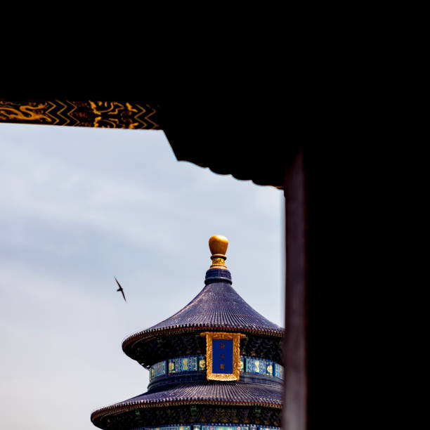 regarder à travers la porte du temple du ciel, chine - beijing temple of heaven temple door photos et images de collection